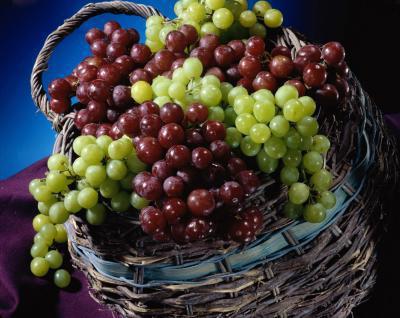 Uve: contenuto calorico per 100 grammi. Benefici e danni dell'uva