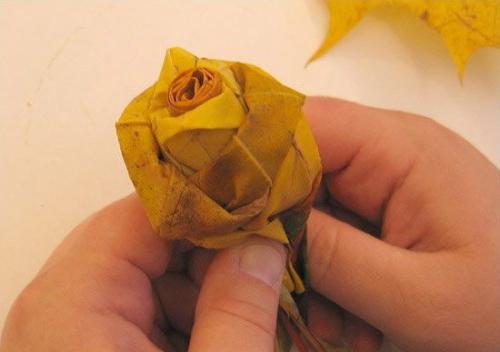 Come realizzare bellissimi mazzi autunnali con le proprie mani sotto forma di rose chic? Soluzione
