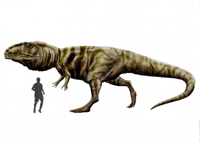Il più grande dinosauro: Bruhatkaiozavr o ...