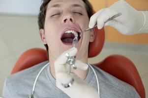La struttura del dente: sottigliezze anatomiche sono associate alla funzione che viene eseguita